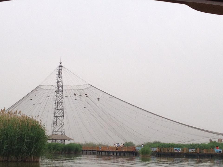 沙湖旅游攻略_门票_地址_游记点评,银川旅游景