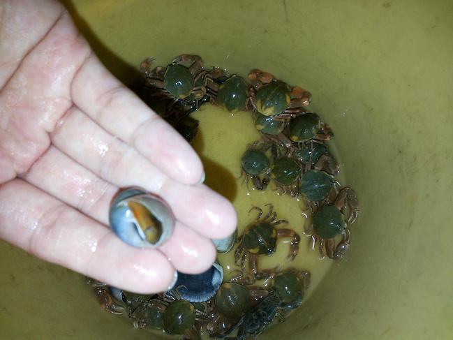 天津海滨浴场1日游