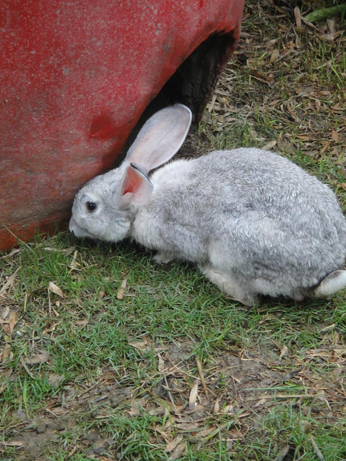 雨行溧阳_常州旅游攻略_自助游攻略_去哪儿攻
