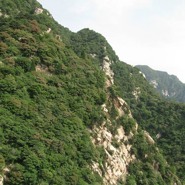 2018王顺山_v攻略攻略_植物_门票_地址点评,蓝大战攻略游记2手游僵尸图片