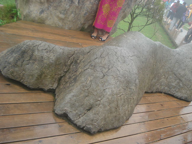 重庆<em>武隆仙女山</em>_旅游攻略_自助游攻略_去哪儿