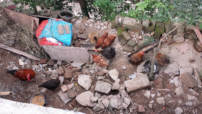 桂林漓江竹筏漂流、冠岩人家、冠岩攻略