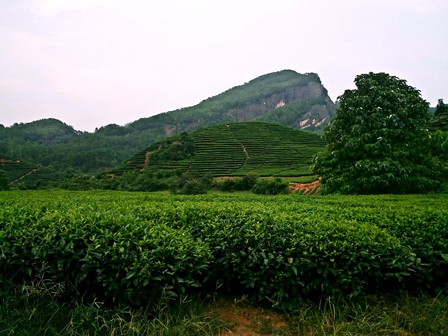 山水诗情,武夷山的悠然二日游_南平旅游攻略