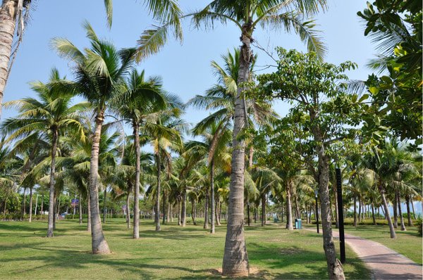 2014欧洲省钱秘笈,8天人均3500_三亚旅游攻略攻略三亚穷游图片