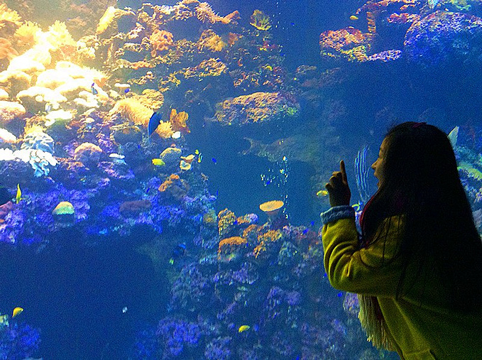 青岛极地海洋世界