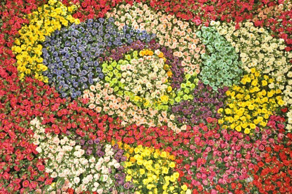 2015玫瑰谷_旅游攻略_门票_地址_游记点评,三