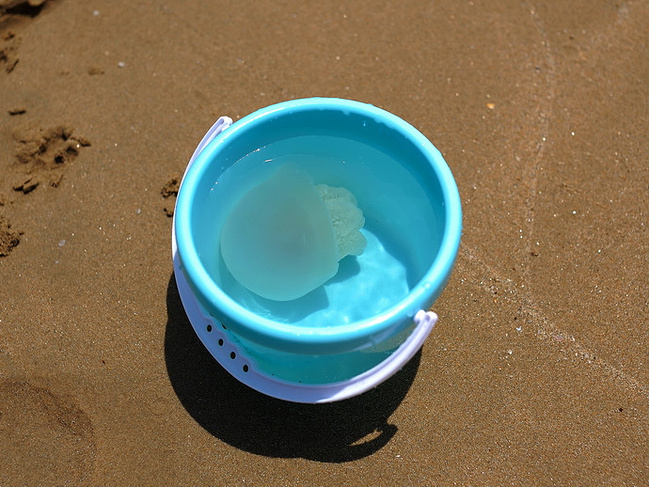 海南东线_万宁旅游攻略_自助游攻略_去哪儿攻