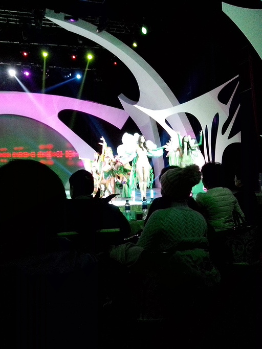 2015哈尔滨最好的景点也是冬天必去的景点_哈