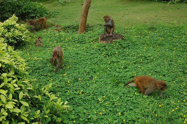 陪老妈走遍天涯海角 三亚北海阳朔桂林_桂林旅