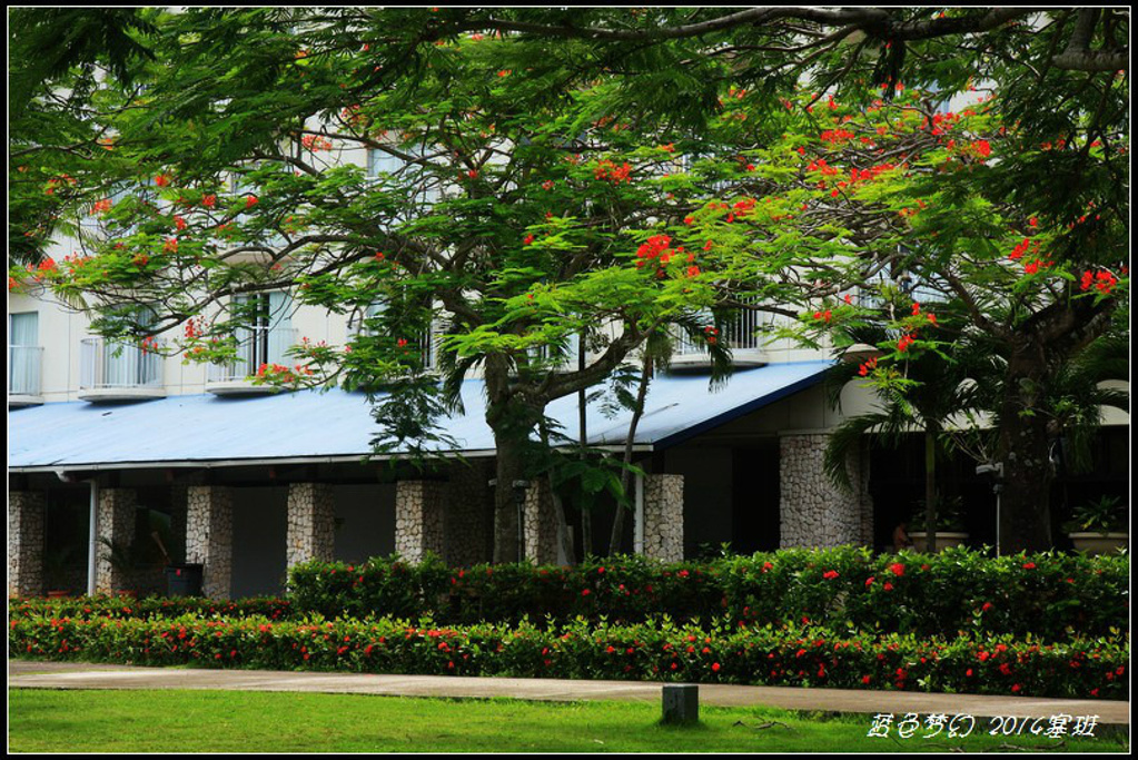 2015新的一天,天气依然不是很好今天是美国的