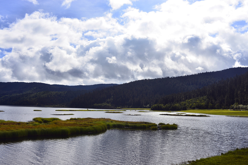 2015一年四季的景色都不相同,下午出太阳后,景