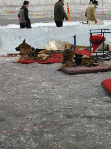 2016松花江上的东西东北人都是从小玩大的,若