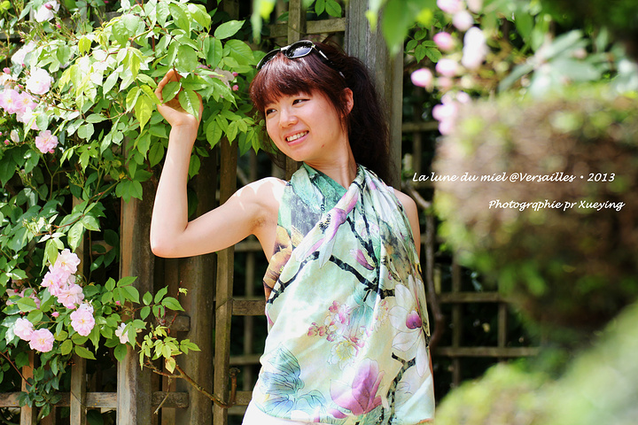 2016凡尔赛花园中的林木被修剪的很有特点_凡