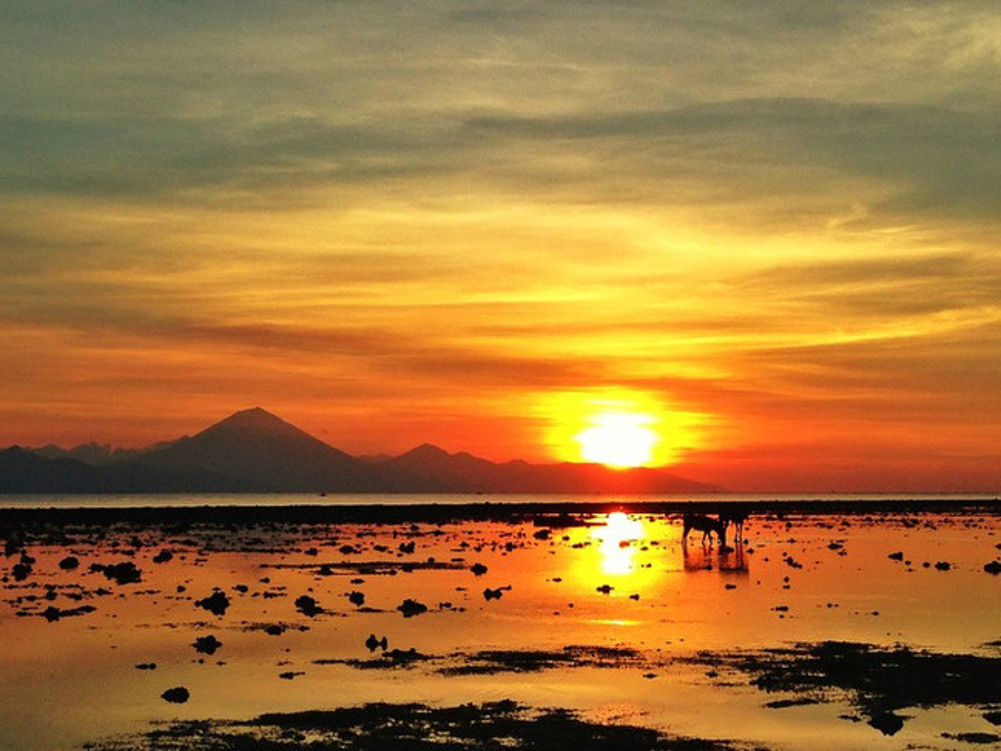 巴厘岛到雅加达,纯净的婆罗浮屠日出_日惹旅游