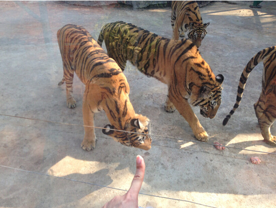 不用计划的泰国曼谷芭提雅新年跟团游_芭堤雅