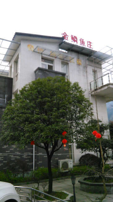 都江堰旅游注意事项:路边拉客的都是骗子_成都