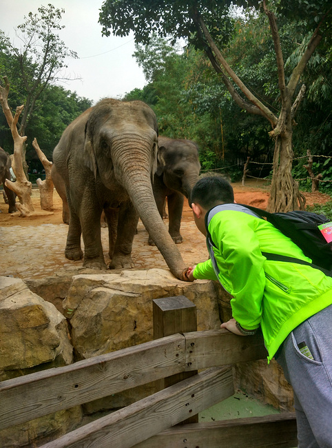 广州情侣4日自由行_广州旅游攻略