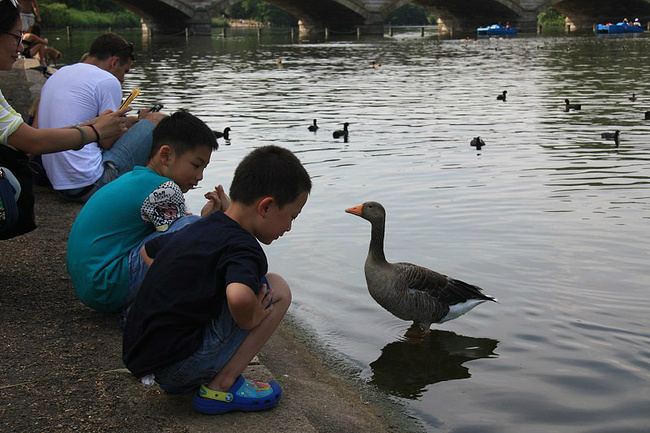 英国十五日游_伦敦旅游攻略