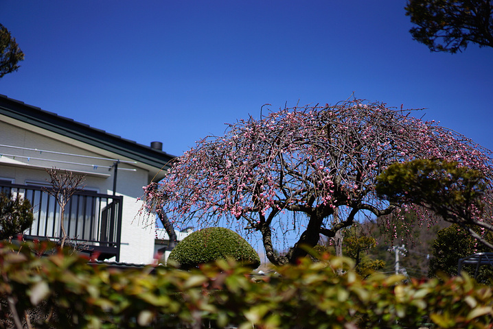 2015日本酒店大部分是十点退房,我们先退了房