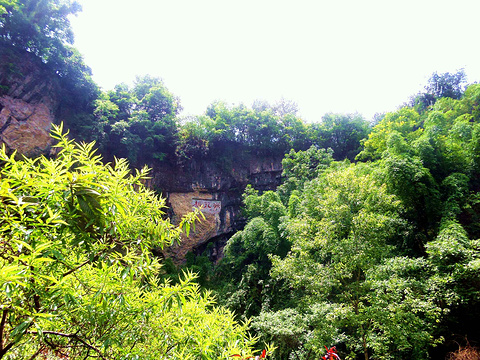 2015酉阳桃花源_旅游攻略_门票_地址_游记点