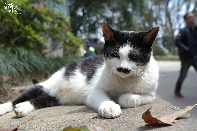 吃在江南--杭州苏州上海_杭州旅游攻略