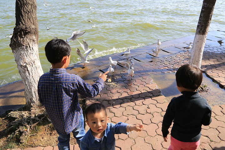2015龙王公园,转到海埂下处。第一眼看见缆车蟹肉美食天下馄饨小图片