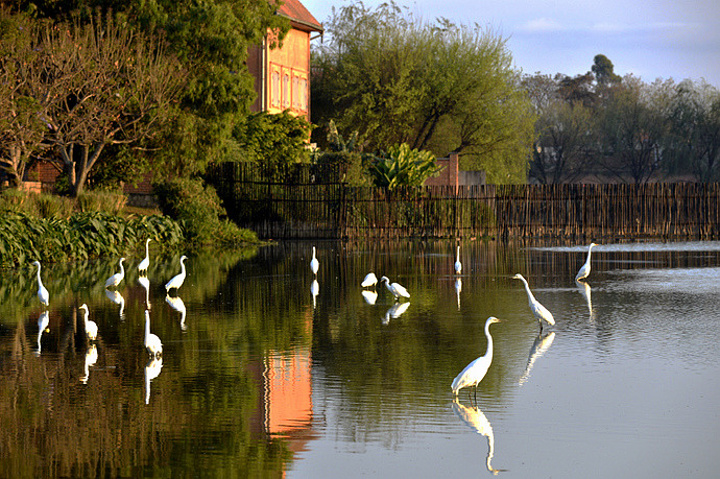 2015我们在马达加斯加首都塔那那里佛住了三