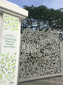 2015新加坡植物园_旅游攻略_门票_地址_游记