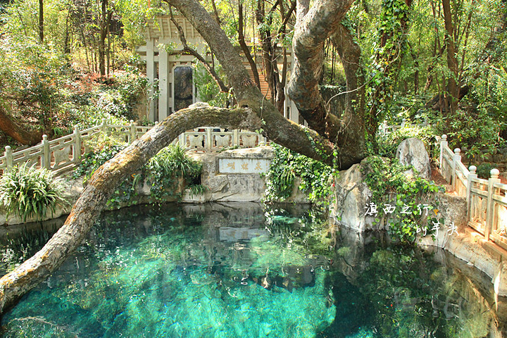 步道与观景平台