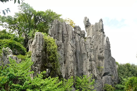 2019【景德镇旅游攻略】景德镇自助游_周边游东京北海道旅游攻略图片