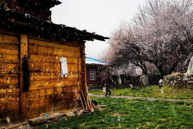 林芝桃花开_林芝旅游攻略