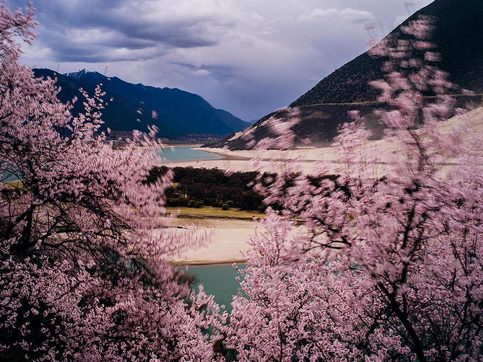 下午四点到达峡谷景区对岸有十来户人家的村子,这里有家客栈,接待能力有限,三月中旬到四月中旬这段时间,如不提前订房,就没住的。村子四周是麦田,田埂上是盛花期的桃树,出村子一公里就可以眺望峡谷和南珈巴瓦峰。大凡爱摄游的,都会在这家客栈落脚。 太阳到了中午就不见了,傍晚观赏南珈巴瓦沐浴在夕阳里的希望落空,六点吃过客栈夹生米饭回房间。高原上的米饭要高压锅煮,稍不留意米饭就夹生了,泡方便面?这里的水七十来度就开,泡面的味道也不咋的。 客栈条件很差,都是几人一个房间,好在不是通铺,每人一张小床,棉被厚实保暖。我们六人