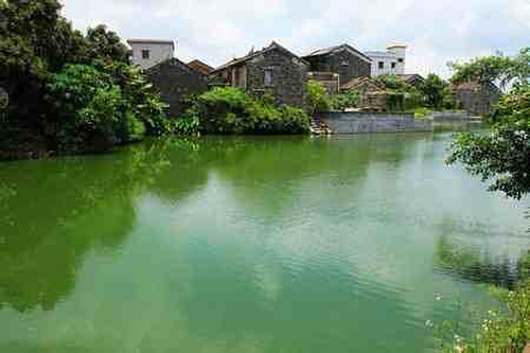 2015古劳水乡_旅游攻略_门票_地址_游记点评