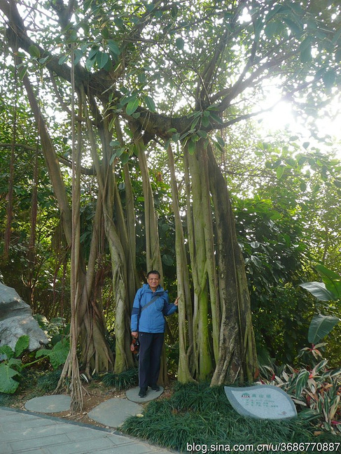 在祖国西南过冬_南宁旅游攻略