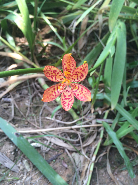 惠州巽寮湾三角洲岛西湖_惠州旅游攻略_自助