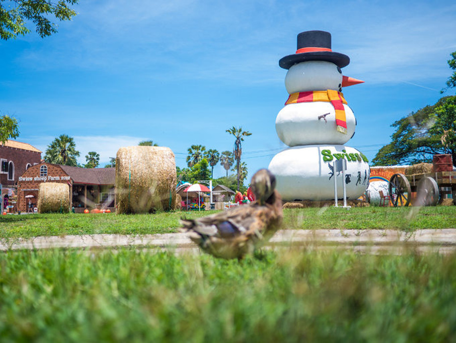 2015小瑞士绵羊牧场_旅游攻略_门票_地址_游