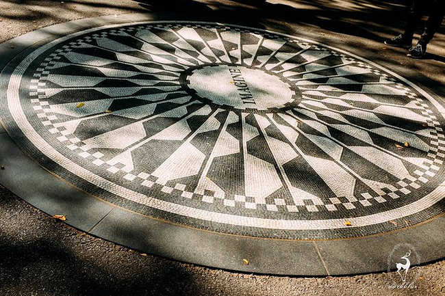 Enjoy NBA--美国东部五城游_纽约旅游攻略