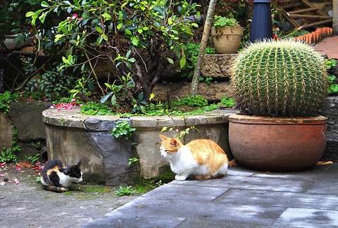 2015大岞村_旅游攻略_门票_地址_游记点评,泉