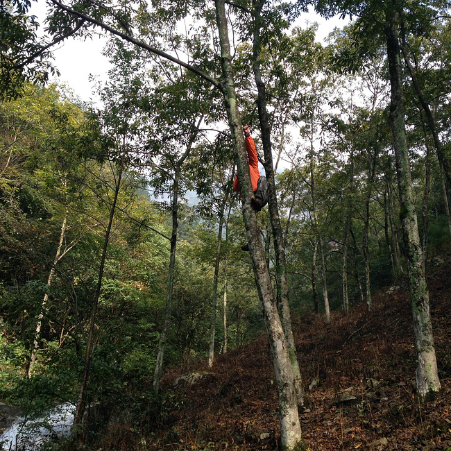 障山大女人-横岩下-徽杭古道a女人峰_宣城v女人大话手游峡谷攻略打造装备平民图片