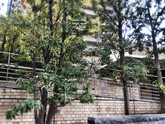 2015代官山,与惠比寿相邻,位于东京都涩谷区,.