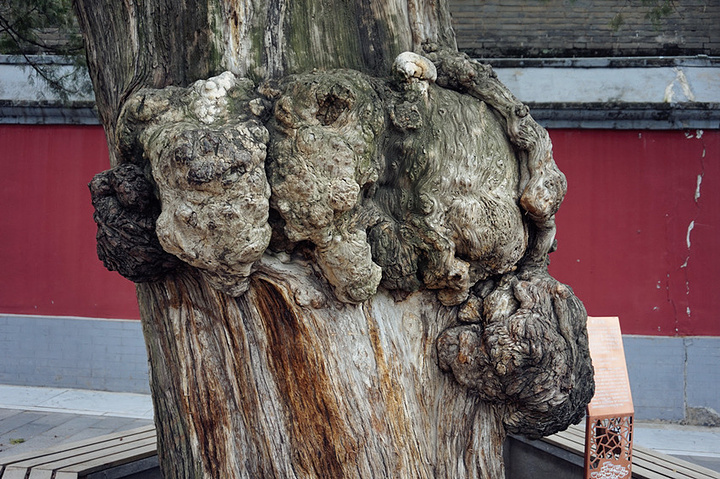 2016最上层料想应该是仙界了吧_戒台寺评论 