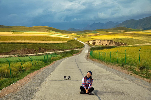 2015卓尔山_旅游攻略_门票_地址_游记点评,海