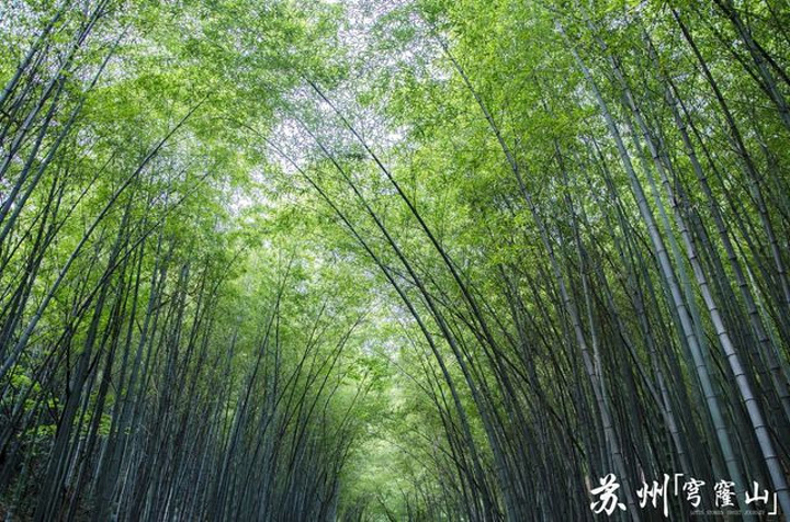 家庭旅游度假,一个周末,三五好友,去爬爬山,呼吸呼吸新鲜空气,精神会