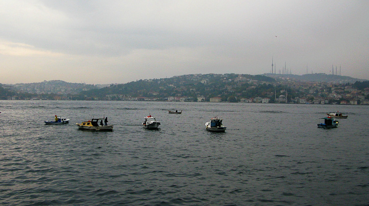 2016德国游莱茵河,悉尼达令港的旖旎风光_博