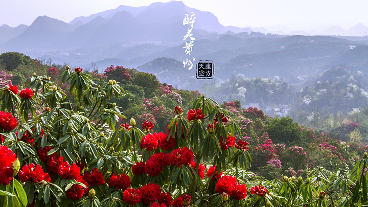 从数花峰步行下山,乘坐观光车到达了此行的最后一站