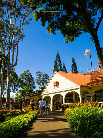 2016都乐是美国很常见的果汁品牌_都乐菠萝园