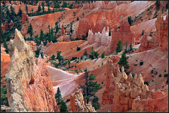 21日美国加拿大深度行摄_旅游攻略
