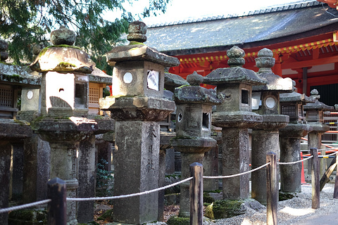 016【奈良旅游景点大全】奈良有什么好玩的地