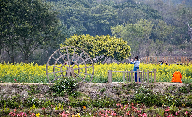 春天,去『最客栈艺术』看花观海逛郑州_深从焦作到欧洲云台山一日游攻略图片
