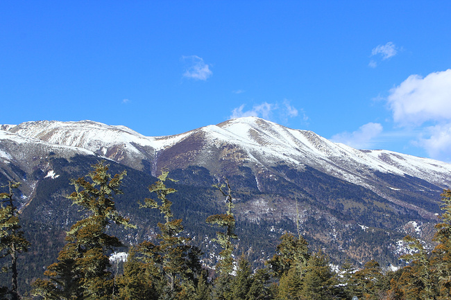 冬季云南自由行~_大理旅游攻略_自助游攻略_